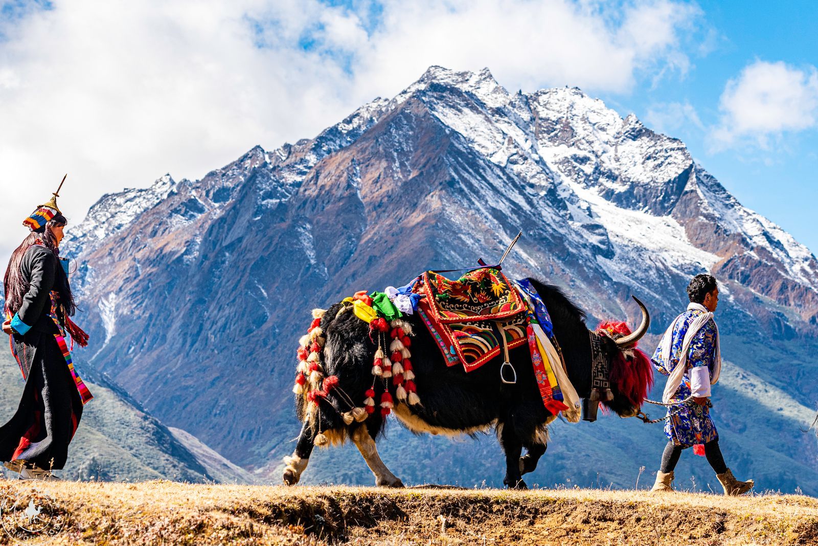 Best of Bhutan