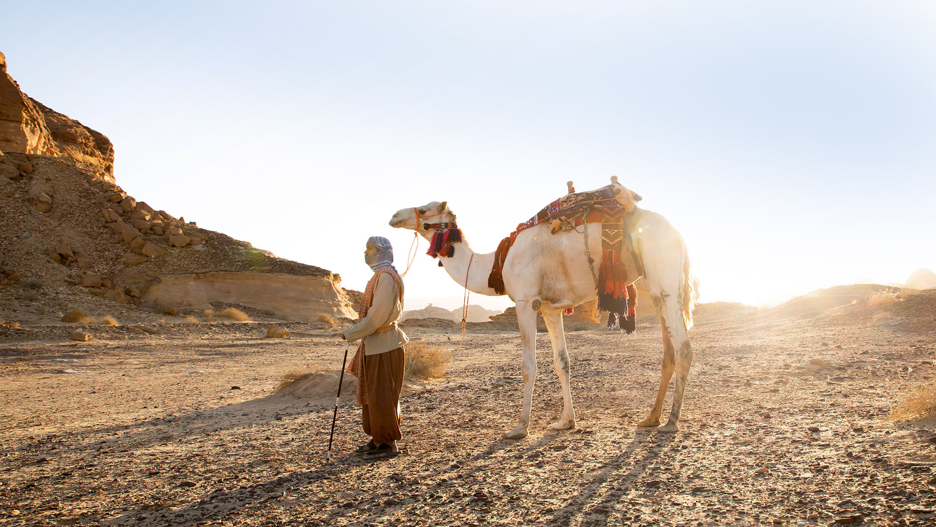 MAJESTIC SAUDI ADVENTURE